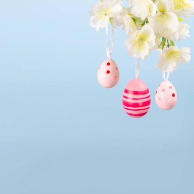 Çiçekli bir daldan sarkan üç güzel pembe Paskalya yumurtası huzurlu mavi bir zemin üzerinde, umut ve yenilenmenin mükemmel bir görüntüsü.
