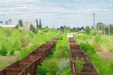 Eski cansız demiryolunda terk edilmiş paslı bir tren vagonu.