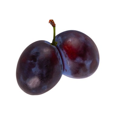 Yapışık meyveler gibi birbirine dolanmış iki erik beyaz zemin üzerinde izole edilmiştir.