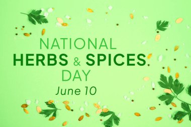 Yeşil arka planda otlar, kaba tuz, kabak çekirdekleri ve biberli mısır. 10 Haziran 'da Ulusal Bitkiler ve Baharatlar Günü 
