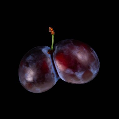 These plums have grown together as conjoined fruits showcased on isolate black background clipart