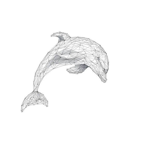 Стрибки Дельфінів Ізольовані Білому Тлі Концепція Морського Життя Каркас Векторна — стоковий вектор