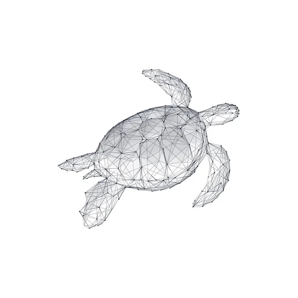在白色背景上隔离的低聚线框中的海龟 海洋生命的概念 摘要3D矢量图解 — 图库矢量图片