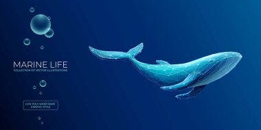 Mavi arka plandaki poligonda soyut mavi balina. Deniz yaşamı konsepti düşük poligramlı. 3B etkisi olan çokgen fütüristik vektör çizimi. Modern geometrik biçim.