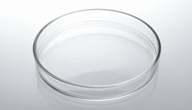 İzole edilmiş beyaz arka plan laboratuvar ekipmanları üzerindeki cam petri kabını temizle bilimsel çevre minimalist görünüm