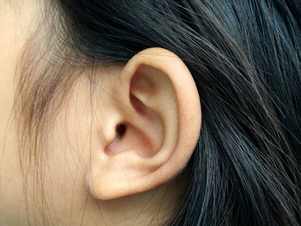 side auricle and black hair of a girl,closeup picture of young woman ear,Close up of human head with female ear