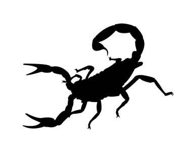 black scorpion icon with venom and invertebrate,Scorpion silhouette isolated.