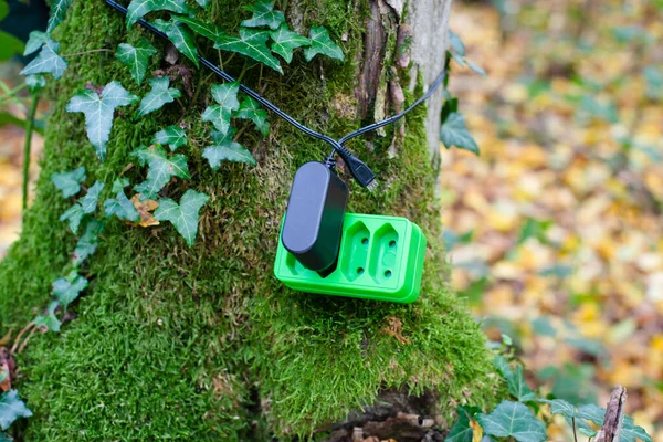 Green electricity socket on a tree trunk, substainable renewable energy, csr concept, environment protection, eco technology