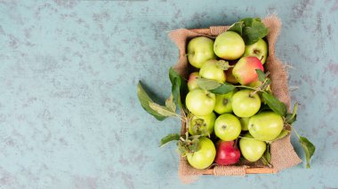Sepette duran elmalar, yazın meyve hasadı, sağlıklı organik yiyecekler.