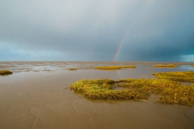 Danimarka 'daki Romo adasında engin deniz, gelgit bölgesi, bitkilerle dolu sulak arazi, kuzey denizinde alçak gelgit, gökkuşağı ve kara bulutlar.