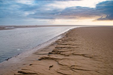 Wadden sea at low tide, North sea beach landscape, coast on Fano island in Denmark clipart