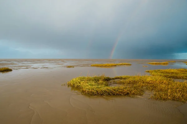 Wadden sea on the island Romo in Denmark, intertidal zone, wetland with plants, low tide at north sea, rainbow and dark clouds