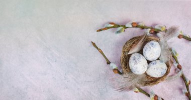 Easter egg nest, branches of pussy willow, holiday greeting card, spring season, pastel color