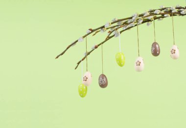 Easter holiday, small colored eggs hanging on pussy willow branches, greeting card, spring season