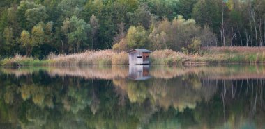 Biyolojik çeşitlilik Haff Reimech, Lüksemburg 'da sulak arazi ve doğa rezervi, sazlıklar ve ağaçlarla çevrili gölet, kuş gözlem noktası