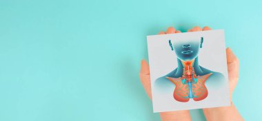 Tiroid organı ellerinde, hipertiroidizm ve hipotiroidizm, sağlık sorunları, kanser, hashimoto hastalığı