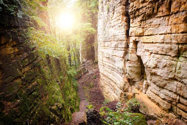 Gorges Loup Wolfsschlucht Mullerthal Trail Echternach Luxembourg Canyon Sandstone Rock — Stock Photo, Image