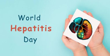 Karaciğer organı, dünya hepatit günü, kanser teşhisi, siroz, sağlık sorunu