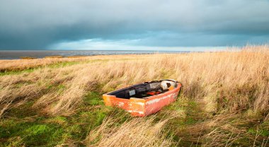 Old wooden boat in the reed next to the north sea on the Island Romo in Denmark, stormy weather in winter clipart