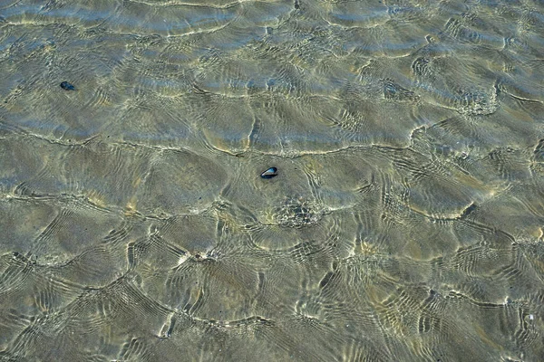 Sandstrand Med Textur Och Grunt Vatten Nordsjön Vaggat Hav Normandie — Stockfoto