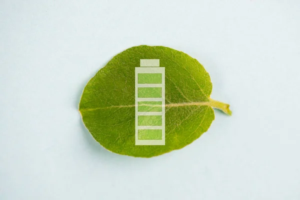 Green energy battery on a leaf, sustainable renewable electricity power, csr concept, environment protection, eco technology