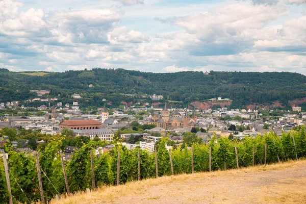 Vinice Výhledem Starověké Římské Město Trier Moselle Valley Německu Krajina — Stock fotografie