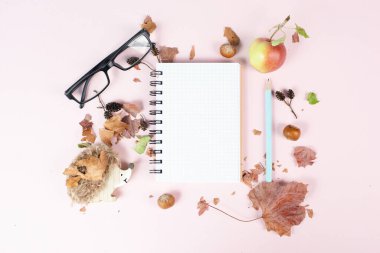 Empty notebook with eyeglasses, an apple and a hedgehog, autumn template with colorful leaves, office desk, pastel color 