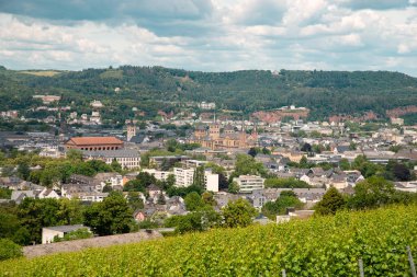 Eski Roma şehri Trier 'in manzaralı üzüm bağı Almanya' daki Moselle Vadisi, Rhineland damağındaki manzara