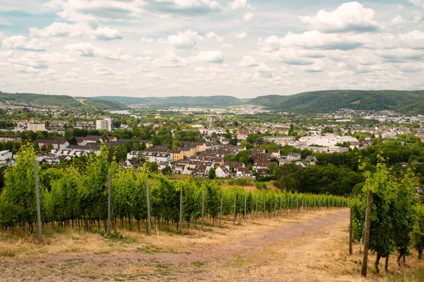 Wijngaard Met Uitzicht Oude Romeinse Stad Trier Het Moezeldal Duitsland — Stockfoto