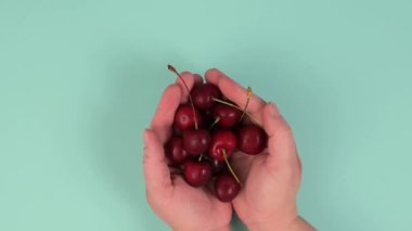 Elinde taze kirazlar, sağlıklı yiyecekler, yaz meyveleri.