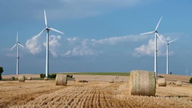 Tarlada saman balyası, ekilmiş arpa, yazın hasat, tarım gıda, kırsal alanda tarım, yenilenebilir enerji. 