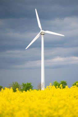 Sarı çiçek açan rapçi tarlaları yel değirmenleri, tarım ve yenilenebilir sürdürülebilir enerji, kırsal, ekili tarım arazileri 