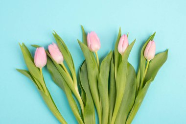 Tulips greeting card for mothers day, birthday, easter holiday, valentines day, spring season, pastel color 