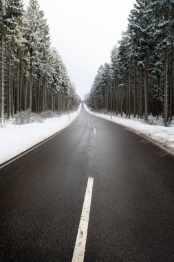 Road through a snow covered forest, slippery and frosty street in winter, empty highway in cold temperature, seasonal weather and landscape 