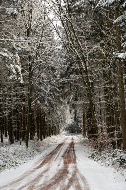 Road through a snow covered forest, slippery and frosty street in winter, empty highway in cold temperature, seasonal weather and landscape 