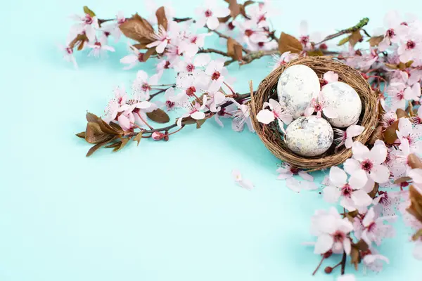 Barevná Velikonoční Vajíčka Proutěném Hnízdě Růžové Třešňové Květy Sváteční Zázemí Stock Fotografie