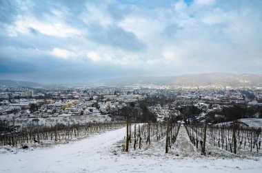 Eski Roma şehri Trier 'in karla kaplı olduğu üzüm bağı, Almanya' daki Moselle Vadisi, Rhineland damağındaki kış manzarası 