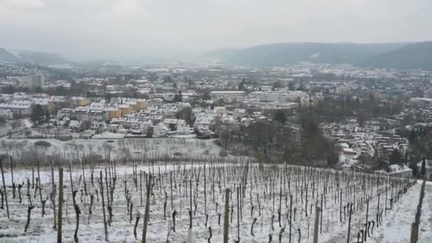 Vinice Výhledem Starověké Římské Město Trier Pokryté Sněhem Moselle Valley — Stock video