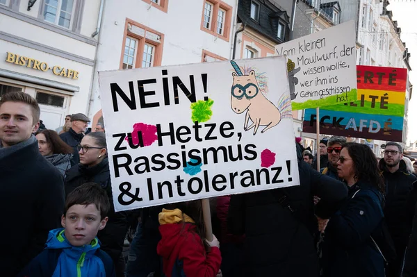 Protest Proti Pravicovým Afd Trieru Německo 2024 Demonstrace Lidská Práva Stock Fotografie