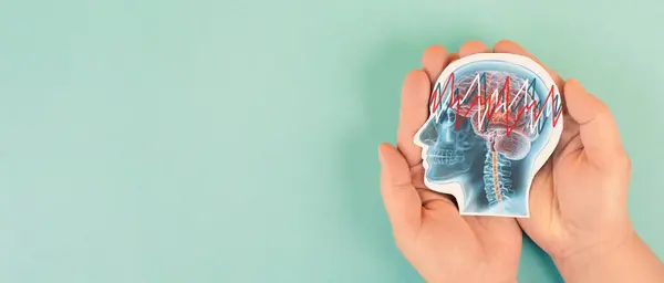 Epilepsi, nöbet geçiren beyin, EEG, zihnin elektriksel aktivitesi, Alzheimer farkındalığı, bunama teşhisi, Parkinson hastalığı, hafıza kaybı bozukluğu.