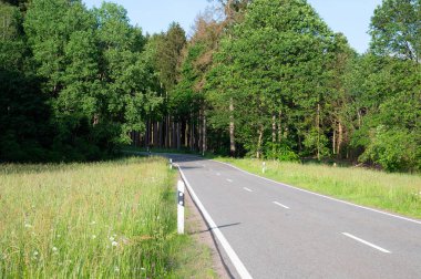 Yazın yol boyunca orman, yeşil ağaçlar ve çayırlar, yaprak döken ağaçların arasından geçen patika, manzara.