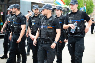 Lüksemburg Ulusal Günü, Grandük 'ün doğum günü kutlamaları, Lüks ordu, polis, itfaiye, kurtarma ve silahlı kuvvetler ile askeri geçit töreni, Lüksemburg şehri, 23.06.2024
