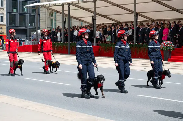 stock image National Day Luxembourg, celebration of the Grand Duke birthday, military parade with luxembourgish army, police, fire department, rescue service and armed forced, Luxembourg city, 23.06.2024