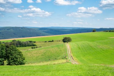 Yeşil çayır, çayır ve ormanlık arazi, Almanya 'da kırsal alan, yazın tarım arazisi, Rhineland' deki Moselle vadisi Palatinate