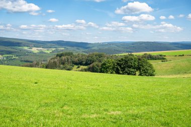 Yeşil çayır, çayır ve ormanlık arazi, Almanya 'da kırsal alan, yazın tarım arazisi, Rhineland' deki Moselle vadisi Palatinate