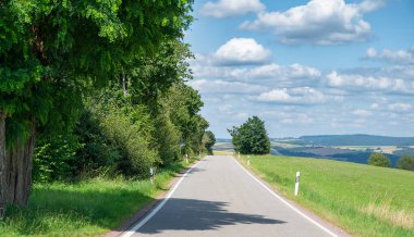 Yazın yol boyunca orman, yeşil ağaçlar ve çayırlar, yaprak döken ağaçların arasından geçen patika, manzara. 