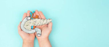 Pankreas organı, omurgalıların sindirim ve endokrin sistemi, kan şekeri seviyelerinin düzenlenmesi, insülin hormonları, diyabet mellitus ve kanser