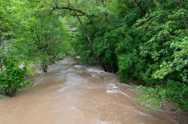 Moselle Nehri taşkını, Rhineland 'deki Trier Derebeyi, sel basmış ağaçlar ve yollar, yüksek su seviyesi, iklim değişikliği