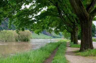 Moselle Nehri taşkını, Rhineland 'deki Trier Derebeyi, sel basmış ağaçlar ve yollar, yüksek su seviyesi, iklim değişikliği