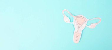 Dünya Menopoz Günü, hormon değiştirme terapisi, rahim organı, orta yaşlı kadın, doğurganlık üretimi.